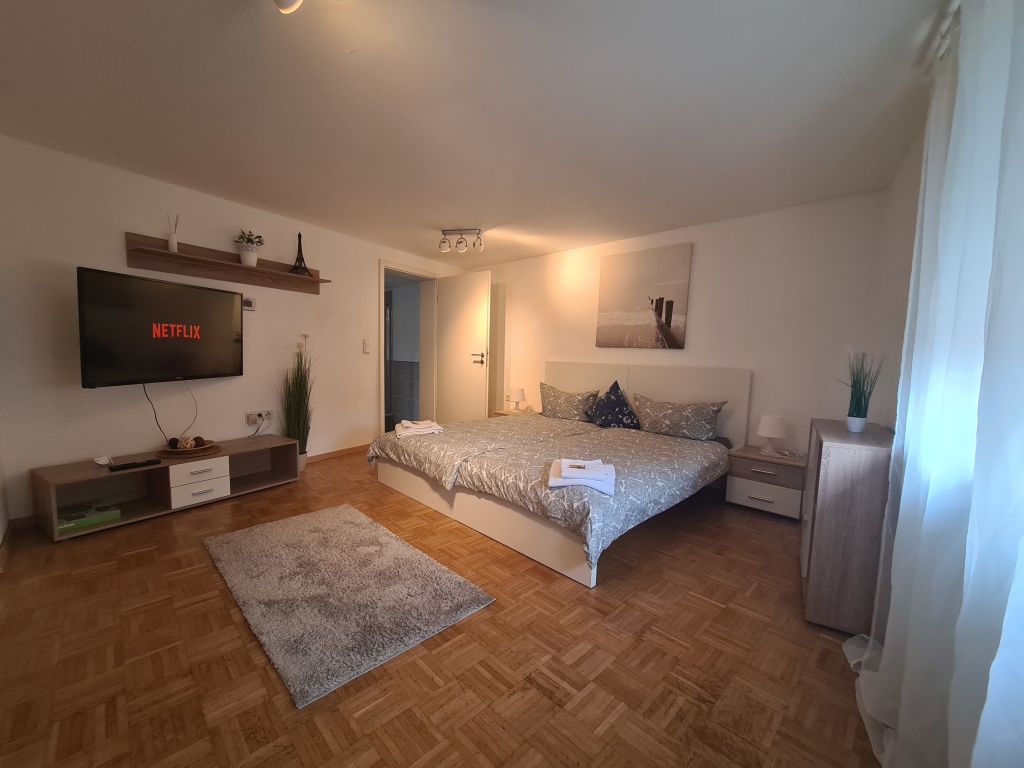 Rent 1 room apartment Kaiserslautern | Entire place | Kaiserslautern | Classic Apartments - Apartment 2 | Hominext