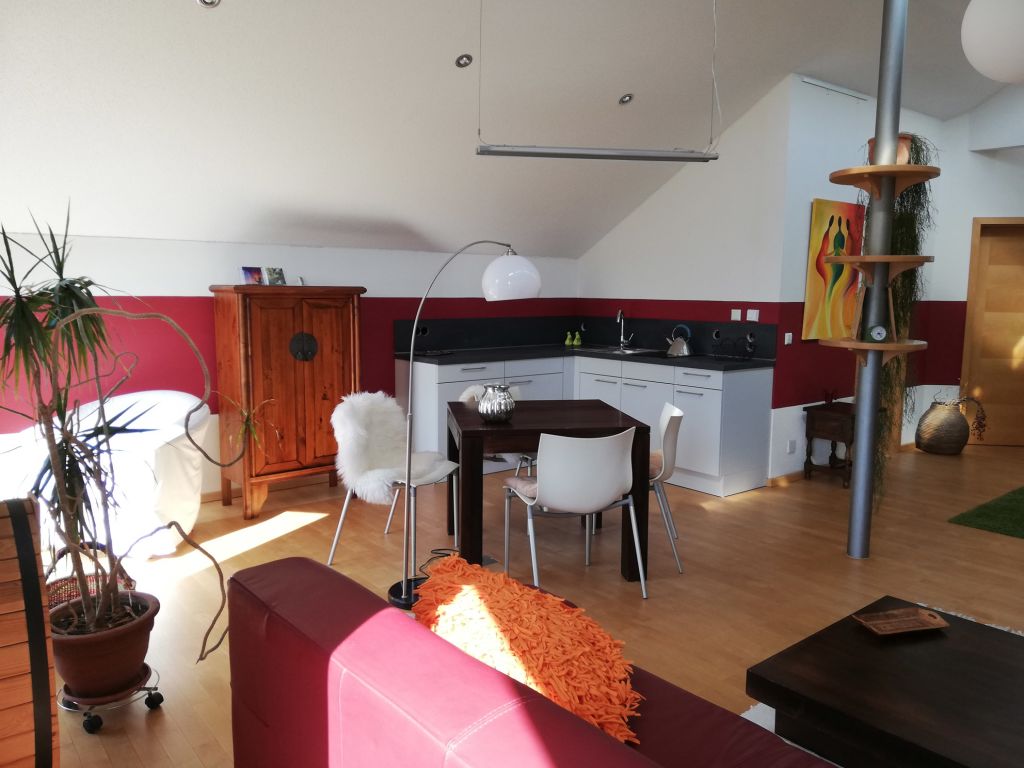 Miete 1 Zimmer Wohnung Passau | Ganze Wohnung | Passau | Atelierwohnung lichtdurchflutet & exklusiv | Hominext