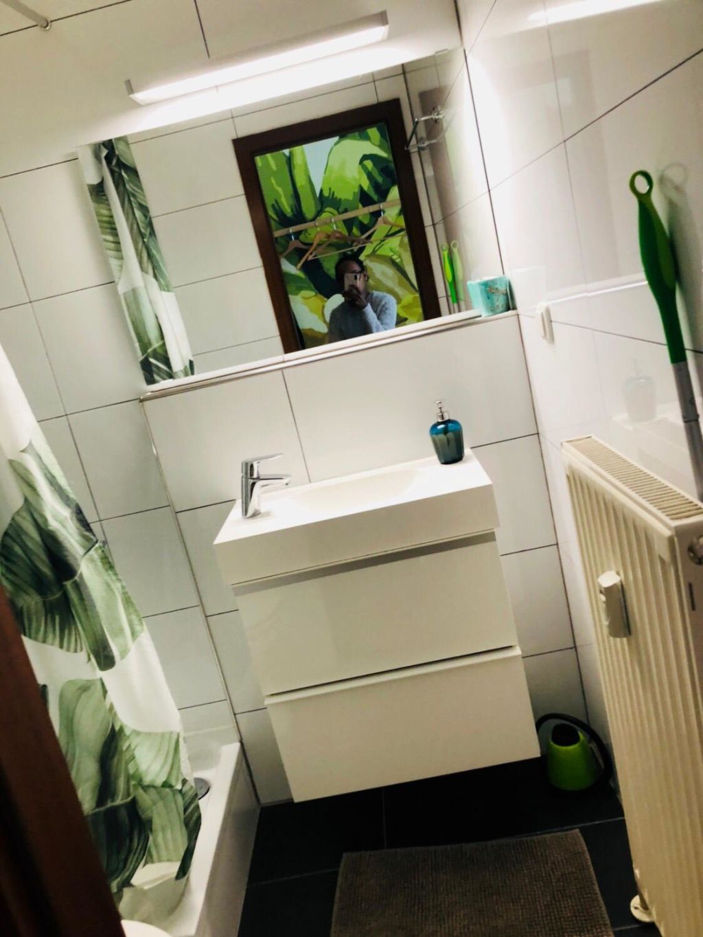 Miete 1 Zimmer Wohnung Mannheim | Ganze Wohnung | Mannheim | Urban Jungle Flat | Hominext