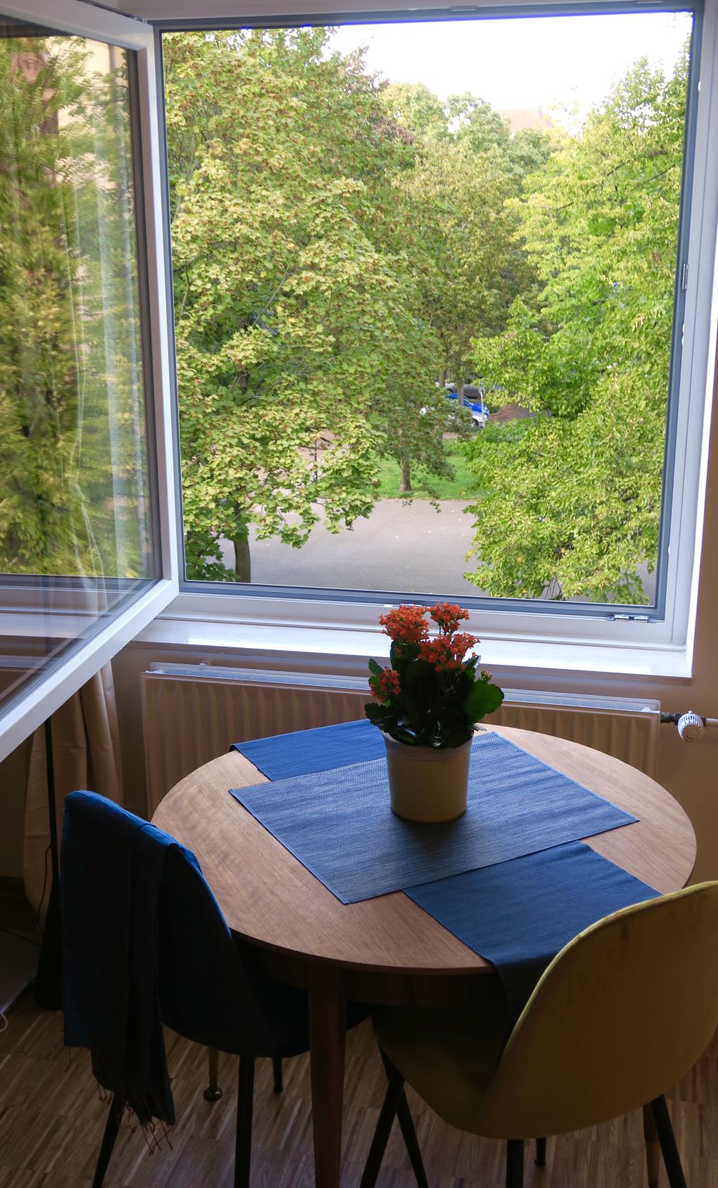 Rent 1 room apartment Düsseldorf | Entire place | Düsseldorf | Charming Explorer Apartment in the centre with optional space in garage | Hominext