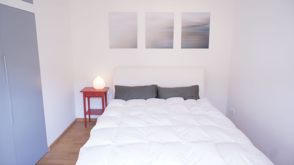 Rent 1 room apartment Berlin | Entire place | Berlin | Gemütliches Studio Apartment in Mitte | Hominext