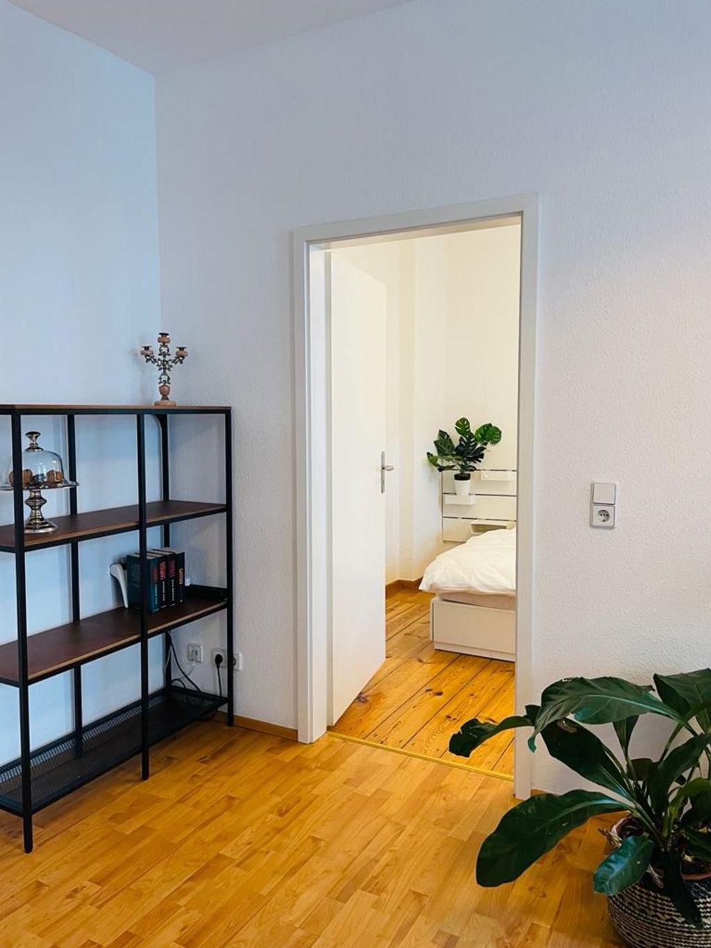 Rent 1 room apartment Berlin | Entire place | Berlin | Sonnige & ruhige Wohnung im Trendviertel | Hominext