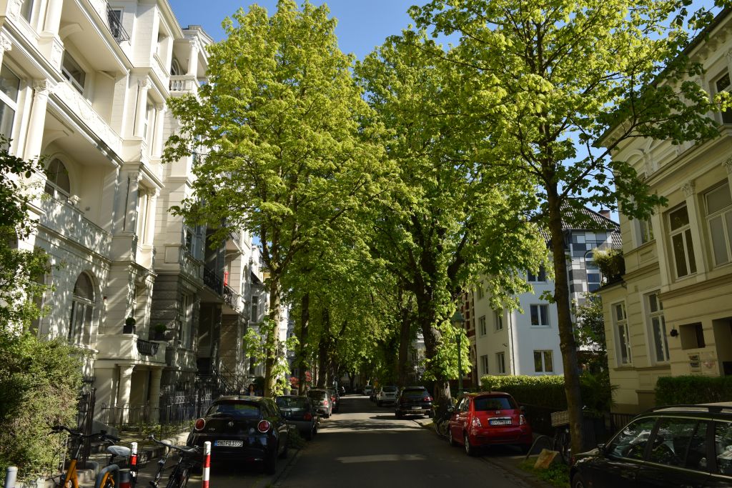 Miete 1 Zimmer Wohnung Bonn | Ganze Wohnung | Bonn | Ruhiges Apartment mit Garten-Terrasse | Hominext