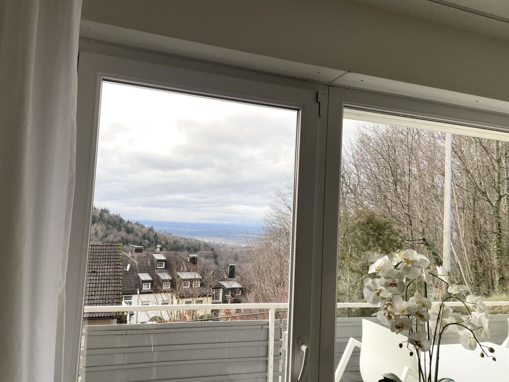 Rent 1 room apartment Baden-Baden | Entire place | Baden-Baden | Modernes Apartment Sunset mit tollem Blick | Hominext