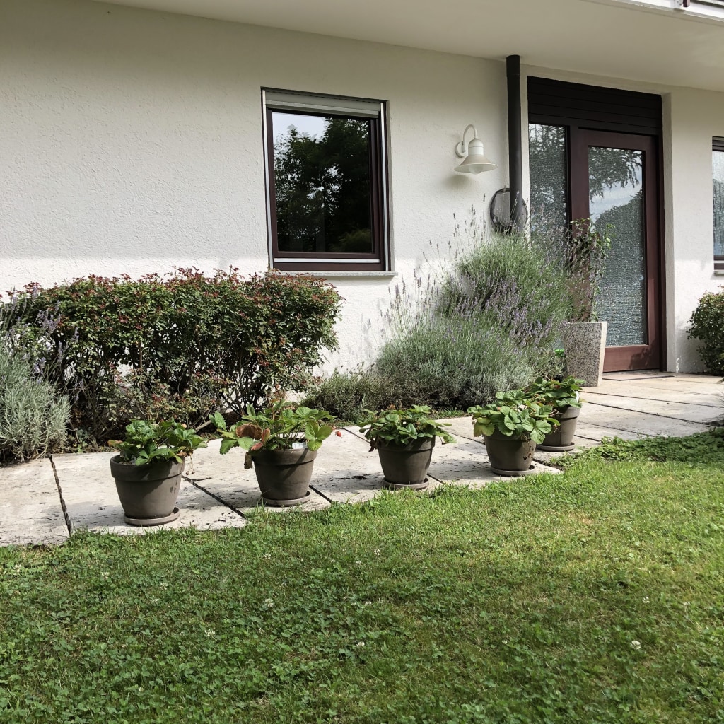 Miete 1 Zimmer Wohnung Neckartailfingen | Ganze Wohnung | Neckartailfingen | UG Wohnung mit großer Terrasse, Garten und Teich. | Hominext