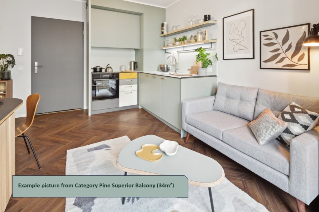 Rent 1 room apartment Berlin | Entire place | Berlin | Serviced Apartments - Fir Superior Apartment | Hominext