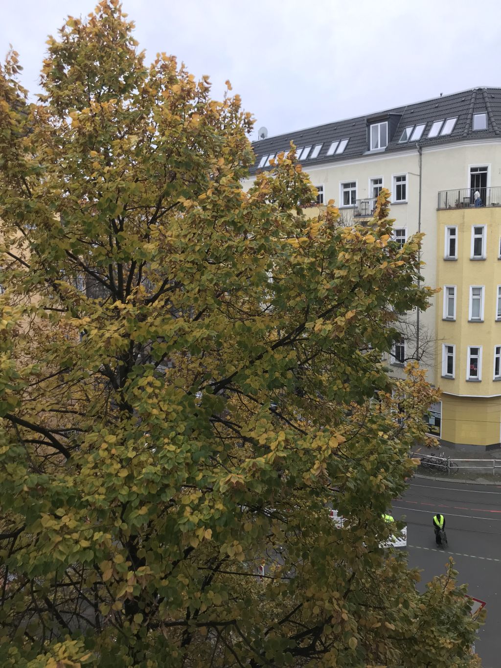 Rent 1 room apartment Berlin | Entire place | Berlin | Wohnen in einer neu renovierten und komplett möblierten Wohnung | Hominext