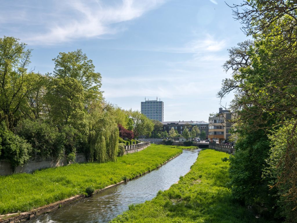 Miete 1 Zimmer Wohnung Bayreuth | Ganze Wohnung | Bayreuth | Bayreuth Spitalgasse - Suite mit 1 Schlafzimmer | Hominext