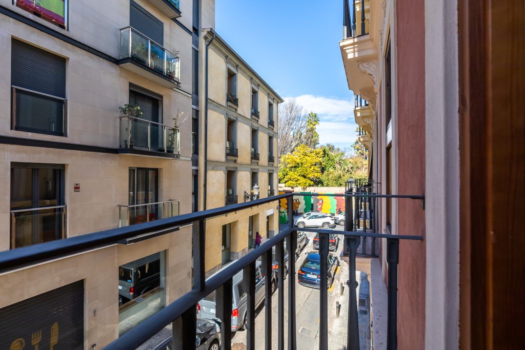 Carrer del Botànic