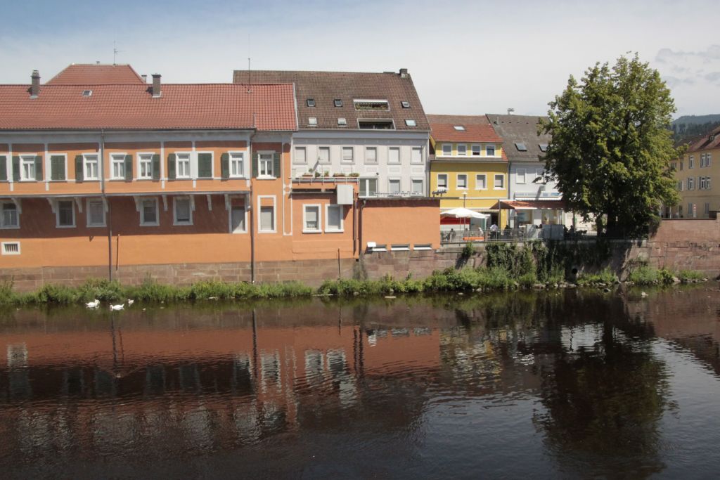 Miete 1 Zimmer Wohnung Gernsbach | Ganze Wohnung | Gernsbach | Modernes und sehr gemütliches Apartment "Cozy" | Hominext