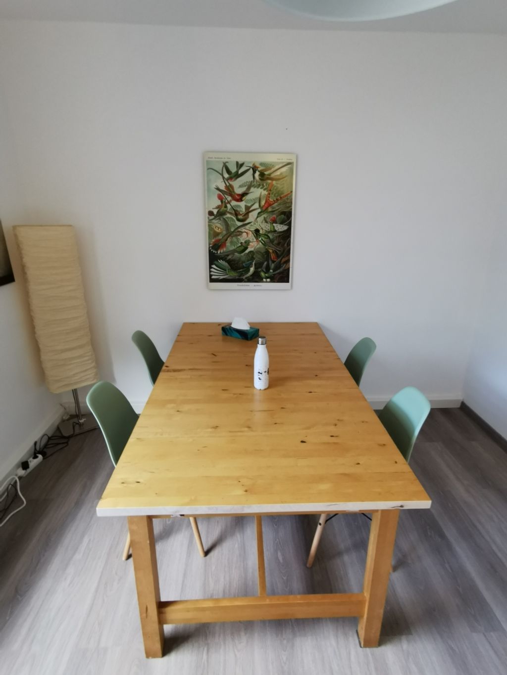 Rent 1 room apartment Gelsenkirchen | Entire place | Gelsenkirchen | geschmackvoll eingerichtete 2 Zimmer Wohnung | Hominext