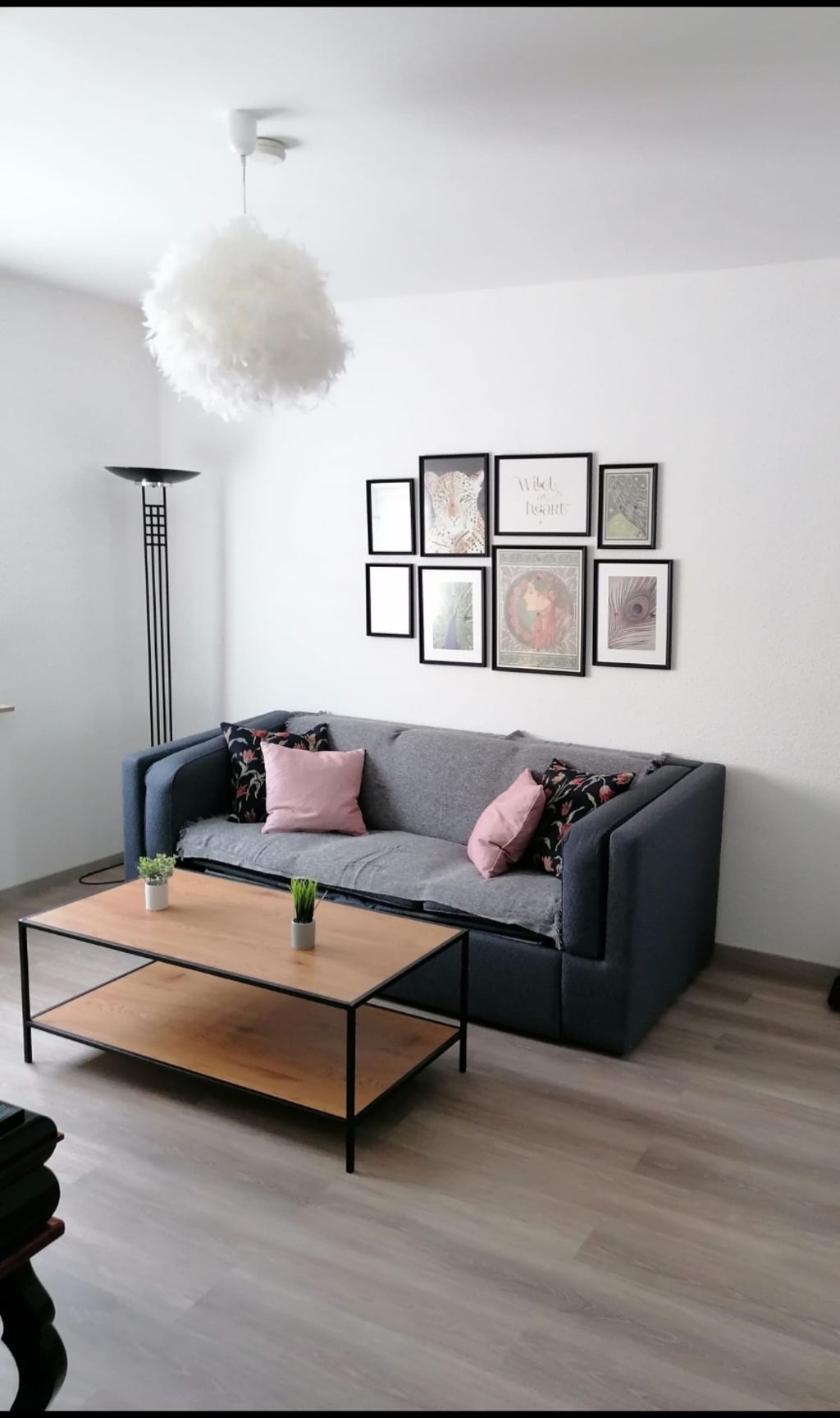 Miete 1 Zimmer Wohnung Gelsenkirchen | Ganze Wohnung | Gelsenkirchen | gemütliches kleines Apartment | Hominext