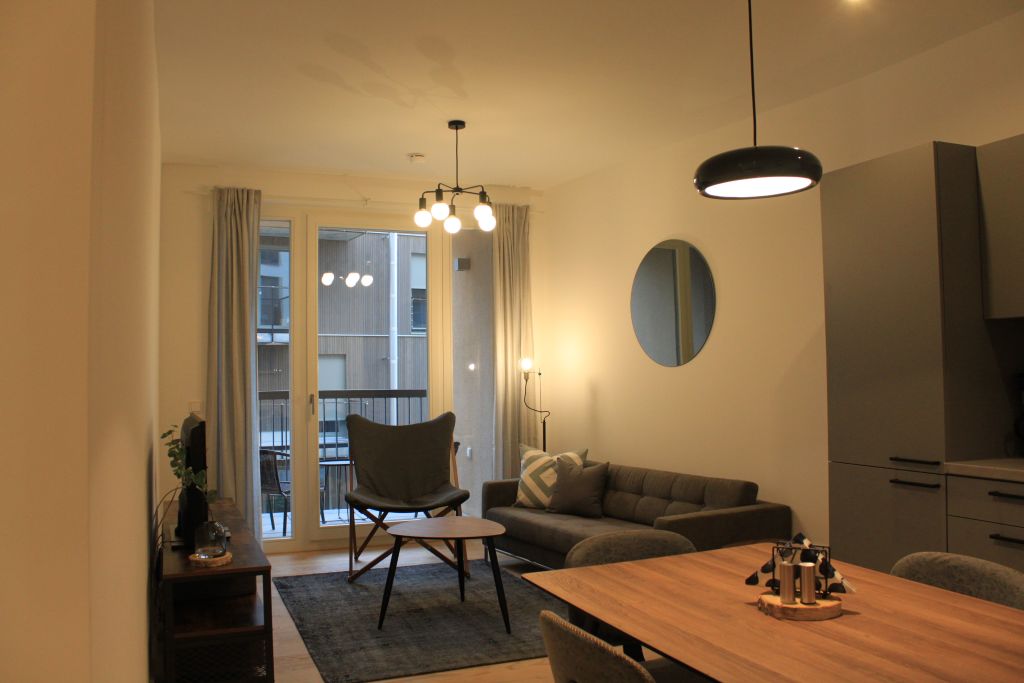 Miete 1 Zimmer Wohnung Berlin | Ganze Wohnung | Berlin | Luxus-Apartment (Neubau) im skandinavischen Viertel Prenzlauer Berg | Hominext