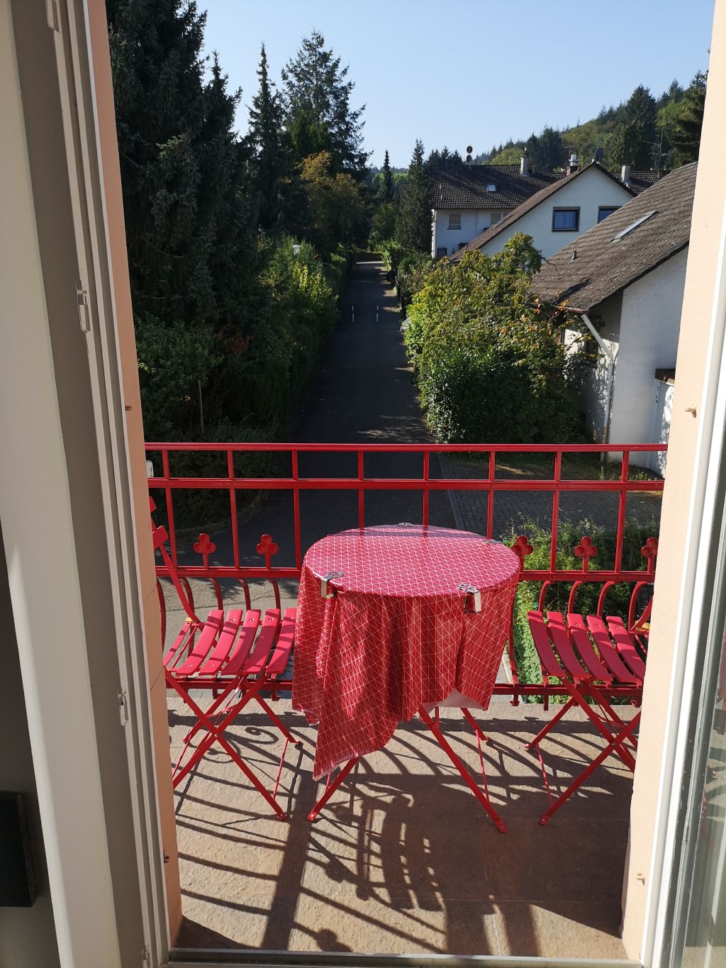 Rent 1 room apartment Baden-Baden | Entire place | Baden-Baden | Apartment Belle Époque | Hominext