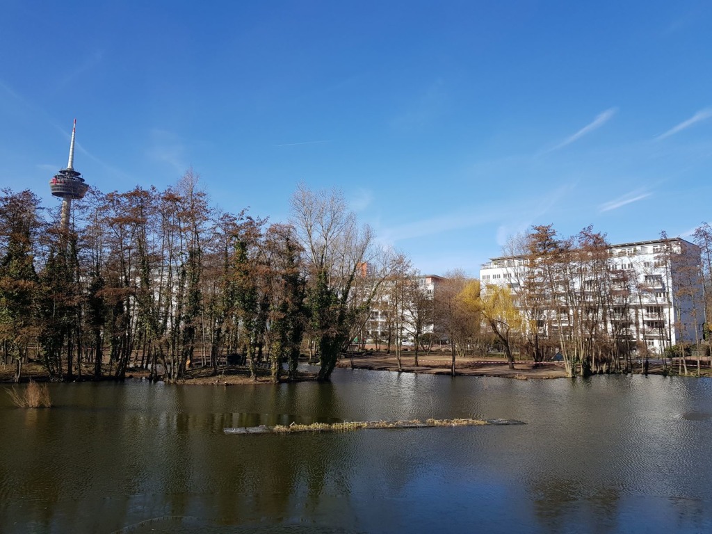 Miete 1 Zimmer Wohnung Köln | Ganze Wohnung | Köln | Modernes Studio-Apartement am Mediapark | Hominext