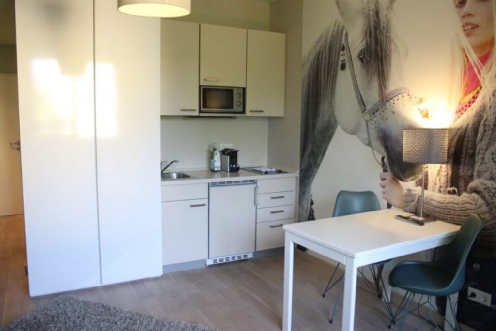 Rent 1 room apartment Frankfurt am Main | Entire place | Frankfurt am Main | Modernes Apartment in zentraler Lage | Hominext