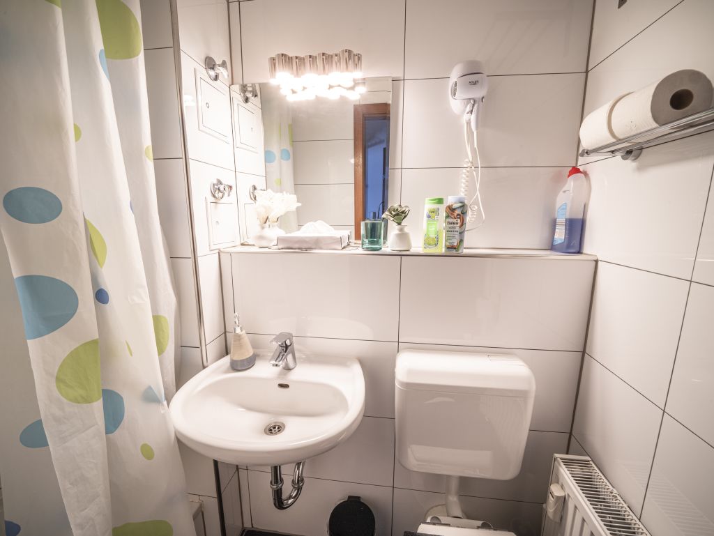 Rent 1 room apartment Mannheim | Entire place | Mannheim | Chilly Studio | Super Central | Hominext