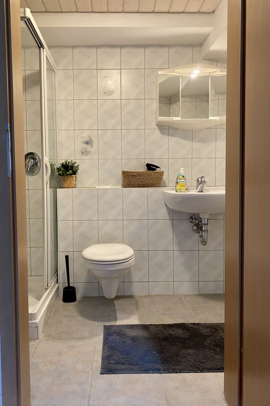 Rent 1 room apartment Bietigheim-Bissingen | Entire place | Bietigheim-Bissingen | Gemütliches 1-Zimmer Apartment | Hominext