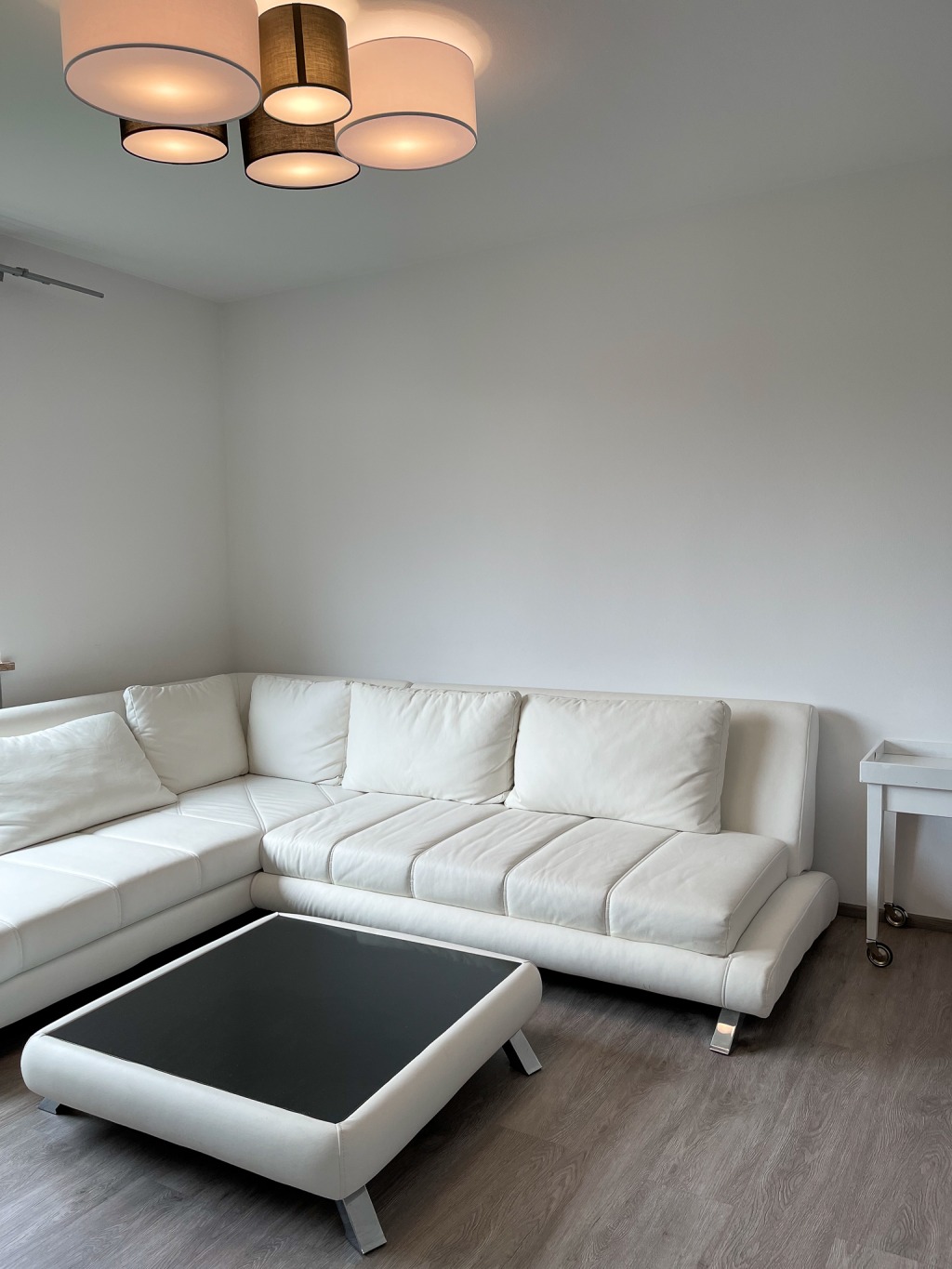 Miete 1 Zimmer Wohnung München | Ganze Wohnung | München | Wunderschönes 1 - Zimmer Apartment im Herzen Schwabing Nord | Hominext