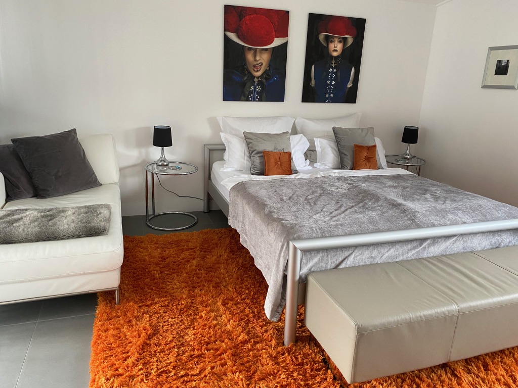 Rent 1 room apartment Baden-Baden | Entire place | Baden-Baden | Modernes Studio auf der Sonnenterrasse von Baden-Baden | Hominext