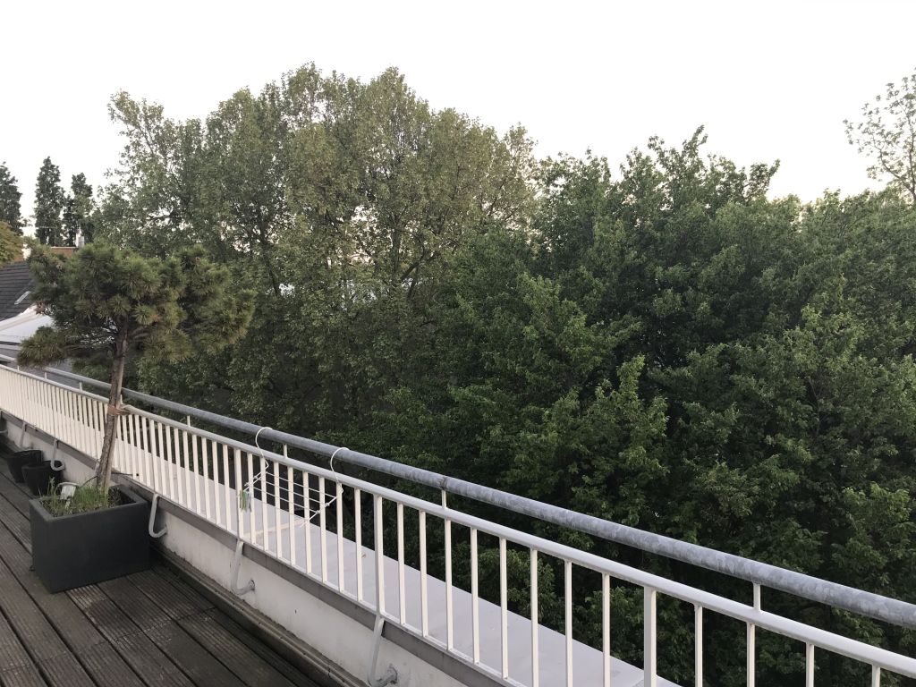 Rent 1 room apartment Köln | Entire place | Köln | Luxuriöses 95 qm ruhiges Penthouse Appartement in der Kölner Innenstadt mit umlaufender 55 qm Terrasse am Park gelegen mit Domblick | Hominext