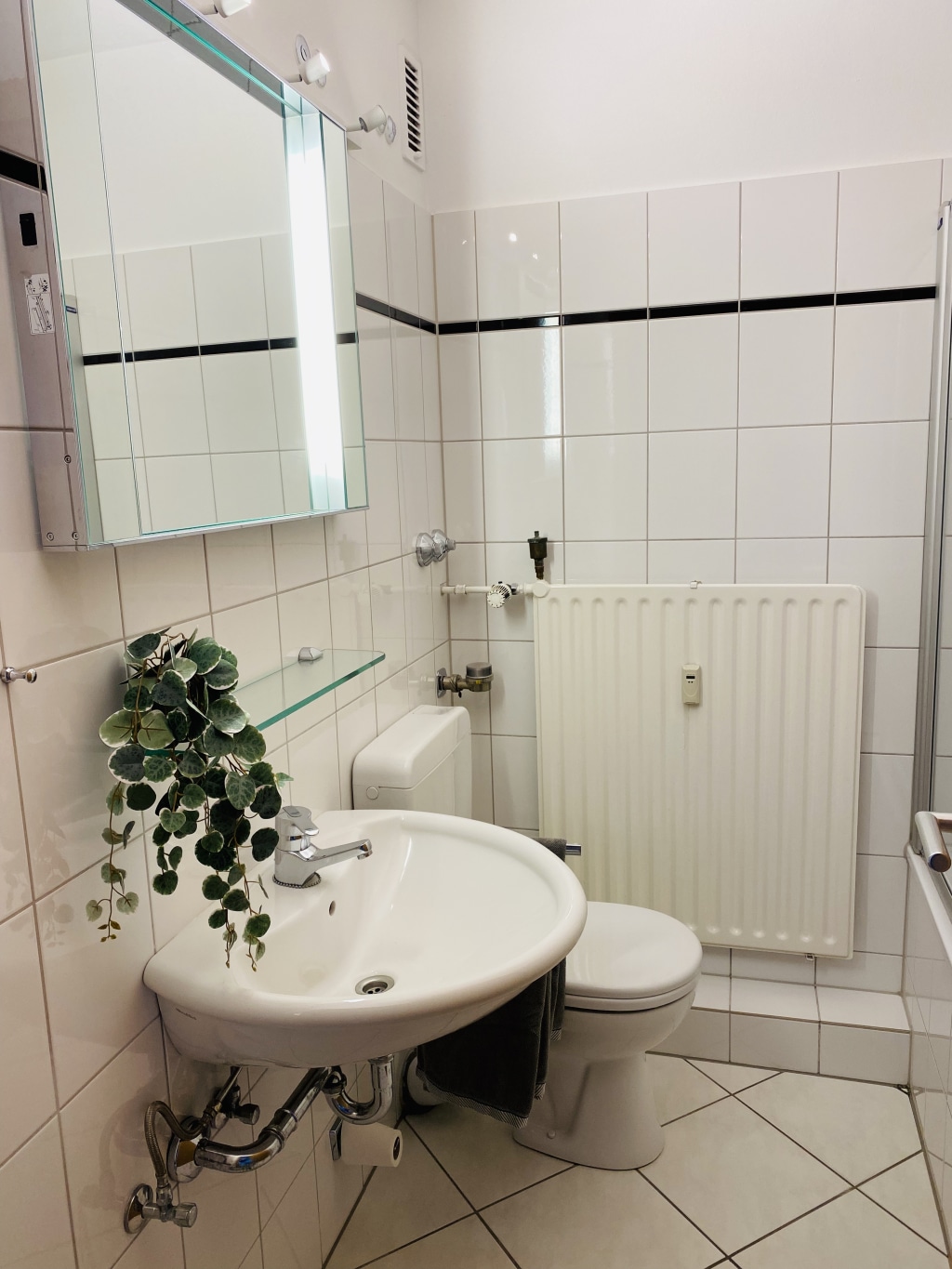 Miete 1 Zimmer Wohnung Köln | Ganze Wohnung | Köln | Purer Wohngenuss -2 Zimmer Dachgeschoss Apartment mit Balkon in Köln | Hominext