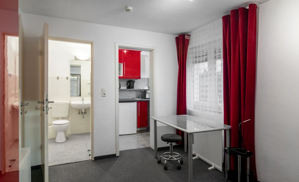 Miete 1 Zimmer Wohnung Mainz | Ganze Wohnung | Mainz | Das besondere Apartment mit Charme  Nähe Uni | Hominext