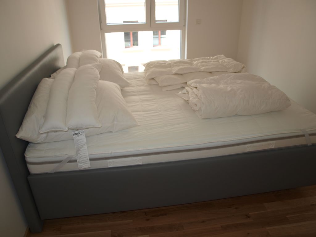 Rent 1 room apartment Leipzig | Entire place | Leipzig | Moderne Wohnung in Altlindenau | Hominext