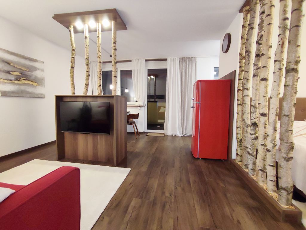 Rent 1 room apartment Nürnberg | Entire place | Nürnberg | Stylish condo with great view | Hominext