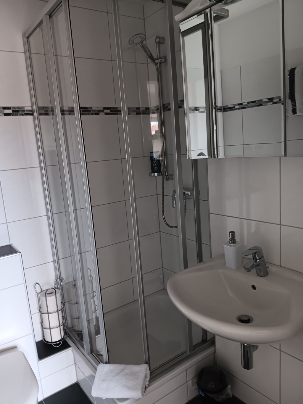 Rent 1 room apartment Frankfurt am Main | Entire place | Frankfurt am Main | Helle, freundliche Einzimmerwohnung | Hominext