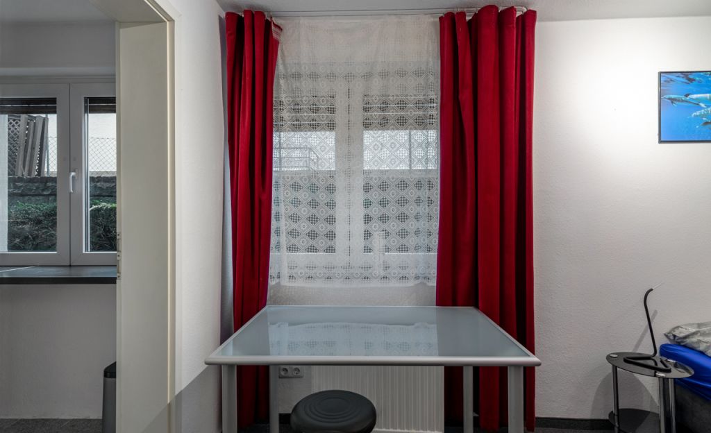 Miete 1 Zimmer Wohnung Mainz | Ganze Wohnung | Mainz | Das besondere Apartment mit Charme  Nähe Uni | Hominext