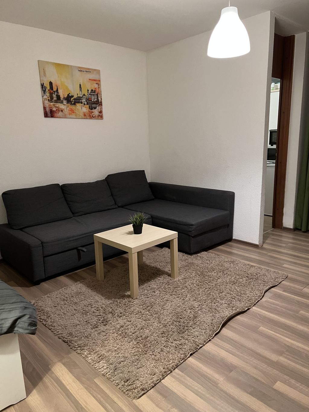 Miete 1 Zimmer Wohnung Augsburg | Ganze Wohnung | Augsburg | Apartment nahe Wertach in Pfersee | Hominext