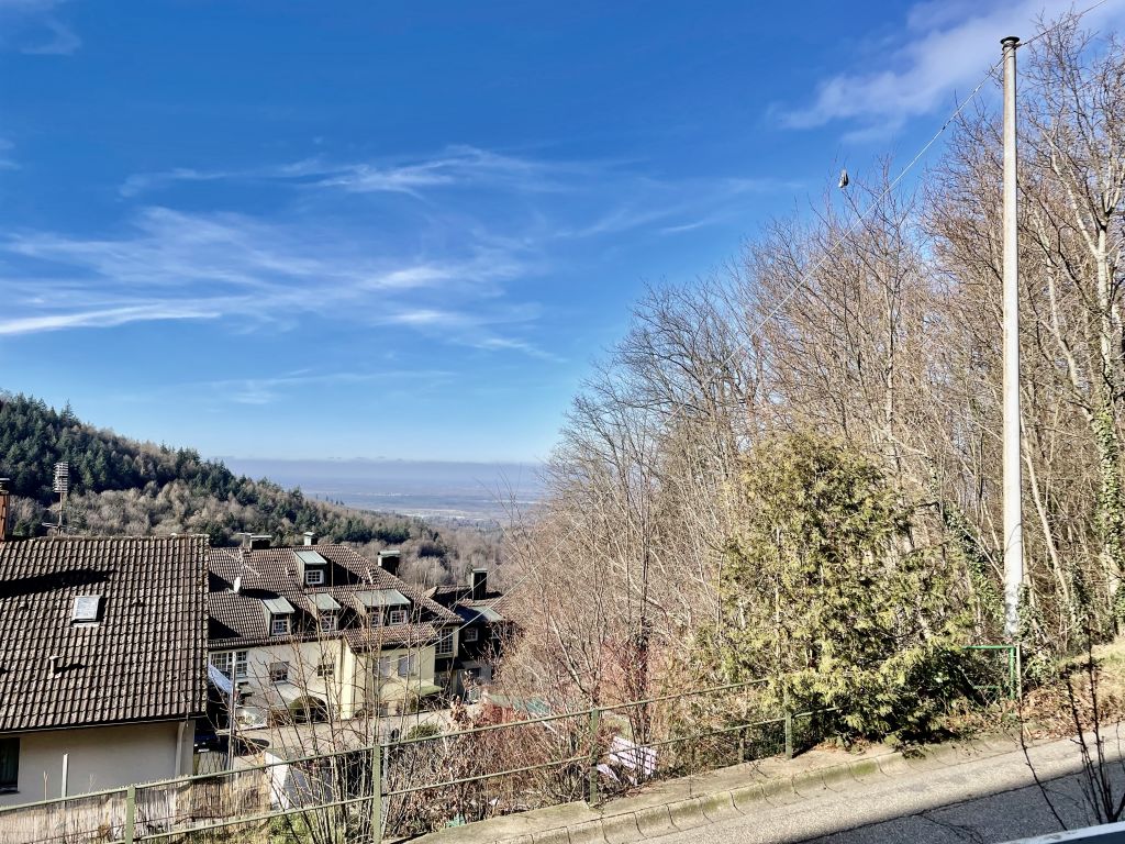 Rent 1 room apartment Baden-Baden | Entire place | Baden-Baden | Modernes Apartment Sunset mit tollem Blick | Hominext