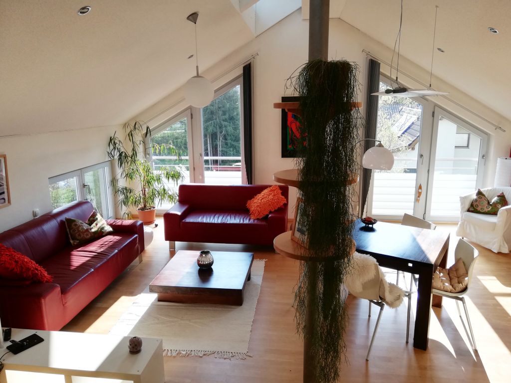 Rent 1 room apartment Passau | Entire place | Passau | Atelierwohnung lichtdurchflutet & exklusiv | Hominext