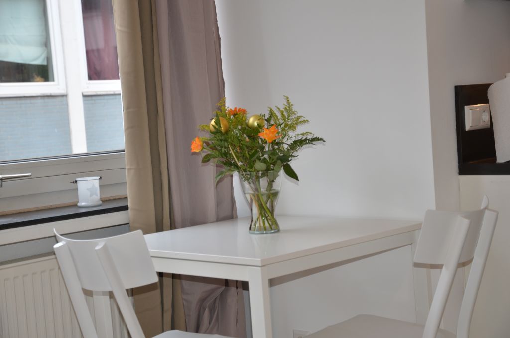 Rent 1 room apartment Bremen | Entire place | Bremen | Beautiful one bedroom apartment with living room and wifi | Hominext