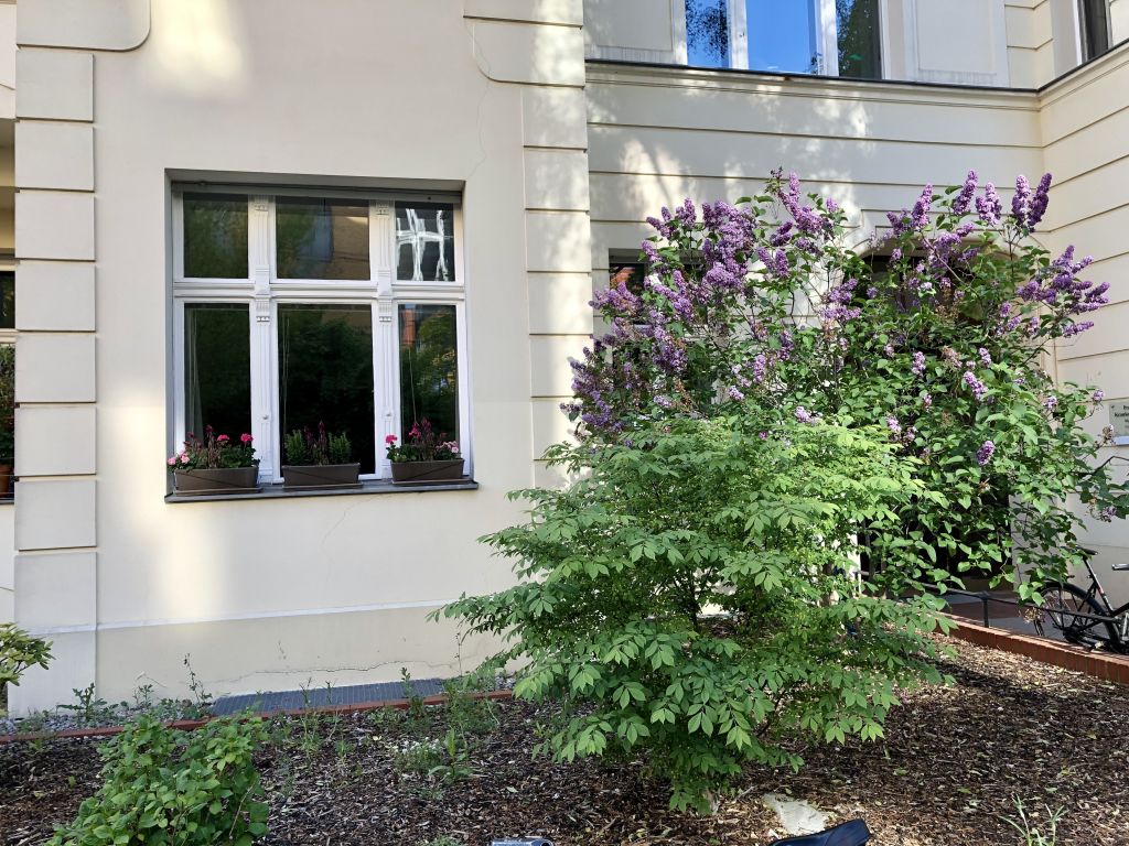 Rent 1 room apartment Berlin | Entire place | Berlin | Raumtraum | Hominext