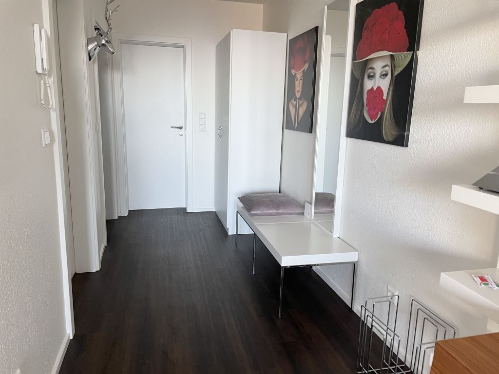 Rent 1 room apartment Baden-Baden | Entire place | Baden-Baden | Modernes Apartment Sunset mit tollem Blick | Hominext