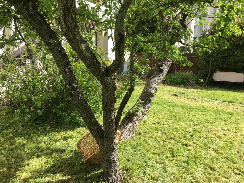 Miete 1 Zimmer Wohnung Dessau-Roßlau | Ganze Wohnung | Dessau-Roßlau | Rustikale Gartenwohnung mit privater Terrasse in Dessau-Nord | Hominext