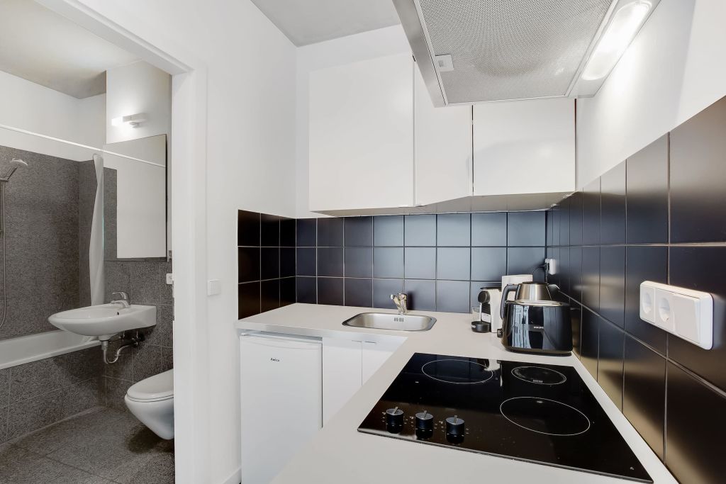 Miete 1 Zimmer Wohnung Berlin | Ganze Wohnung | Berlin | Private Wohnung in Mitte, Berlin | Hominext