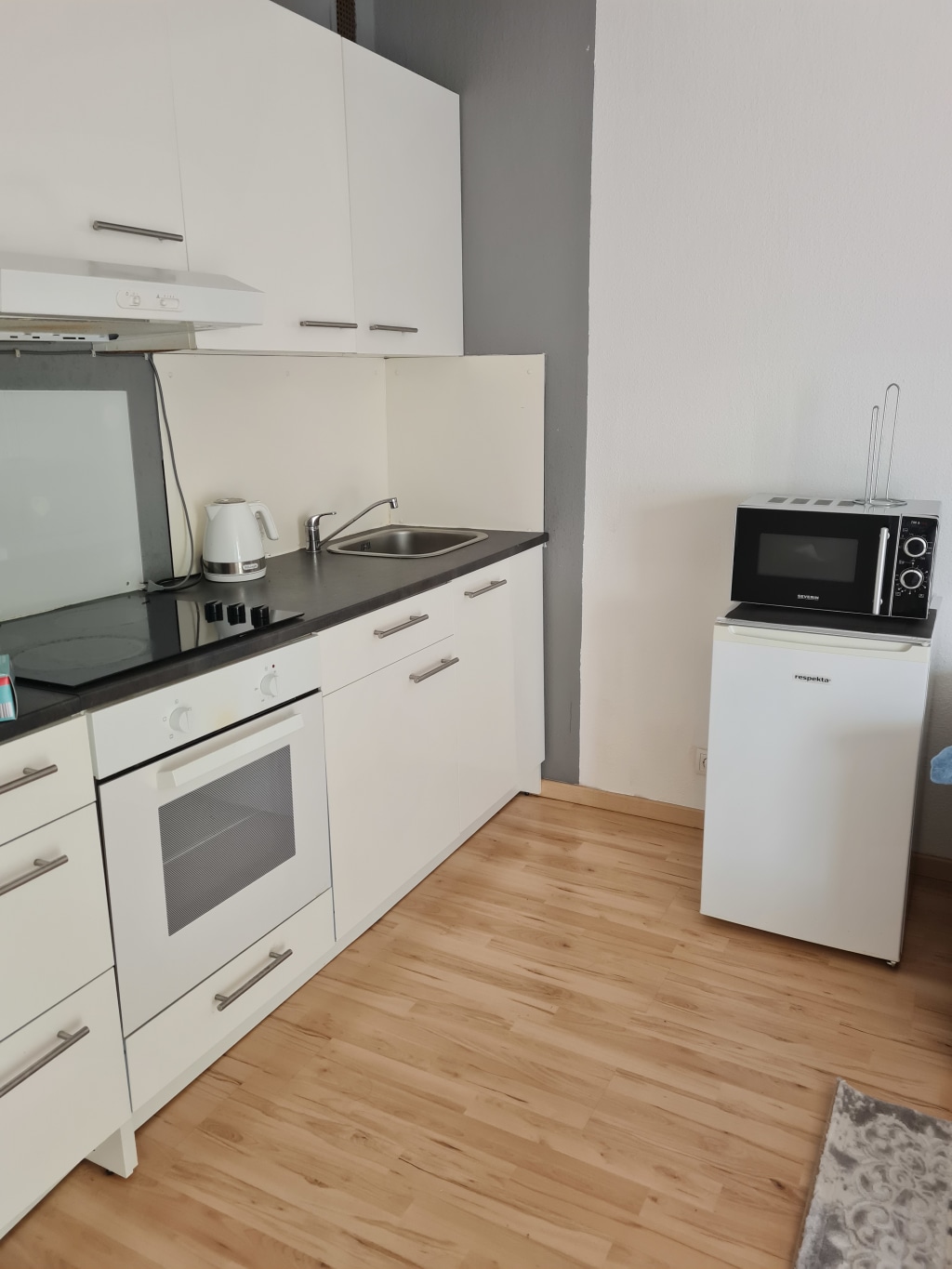 Rent 1 room apartment Frankfurt am Main | Entire place | Frankfurt am Main | A cosy Apartment | Hominext