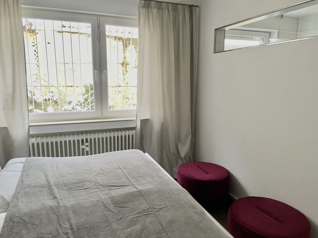 Miete 1 Zimmer Wohnung Baden-Baden | Ganze Wohnung | Baden-Baden | Modernes Apartment Sunset mit tollem Blick | Hominext