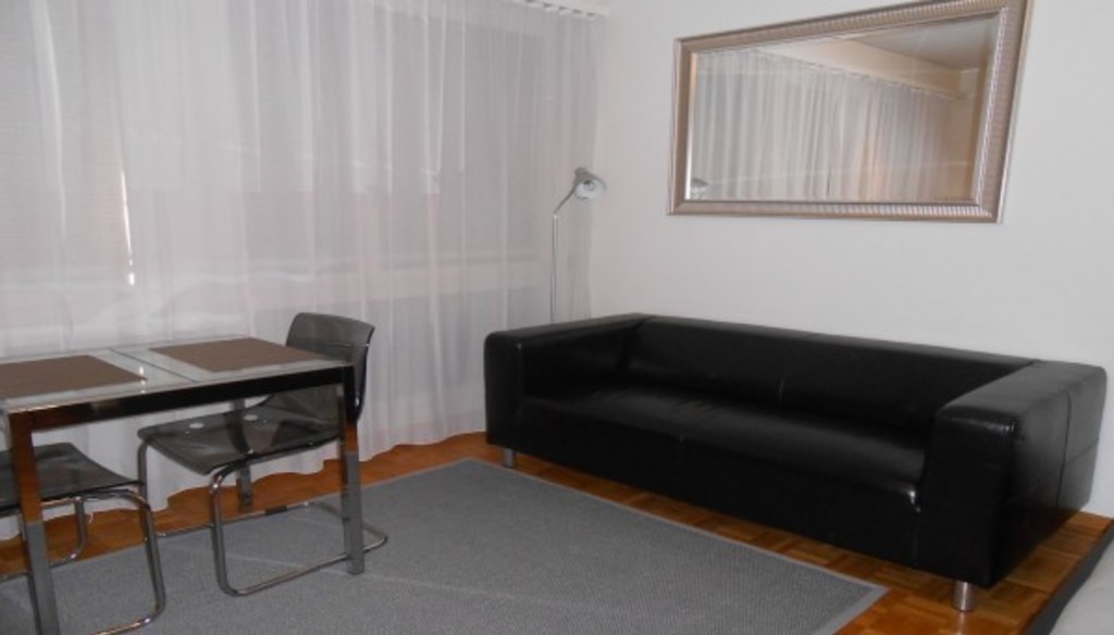 Bright and furnished studio is ideally located in the center of Geneva - UBK-926308 - Bright and furnished studio is ideally located in the center of Geneva