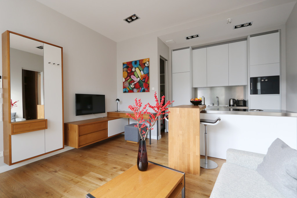 LUXURY ONE BEDROOM APARMENT IN MITTE - BER-89012 - LUXURY ONE BEDROOM APARMENT IN MITTE