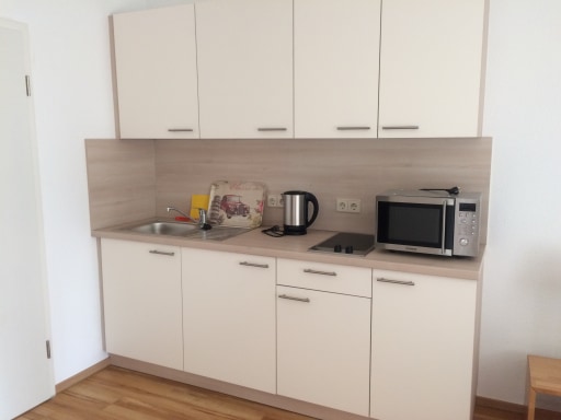 Miete 1 Zimmer Wohnung Mannheim | Ganze Wohnung | Mannheim | Komfortables Apartment mit kleinem Wintergarten | Hominext