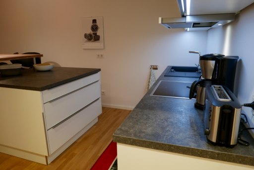 Miete 1 Zimmer Wohnung Frankfurt am Main | Ganze Wohnung | Frankfurt am Main | Attraktive Wohnung mit Loft-Charakter neben Europagarten | Hominext