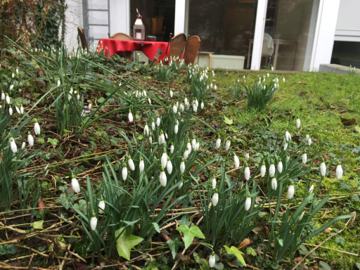 Miete 1 Zimmer Wohnung Köln | Ganze Wohnung | Köln | Wohnung mit Garten am Hbf | Hominext