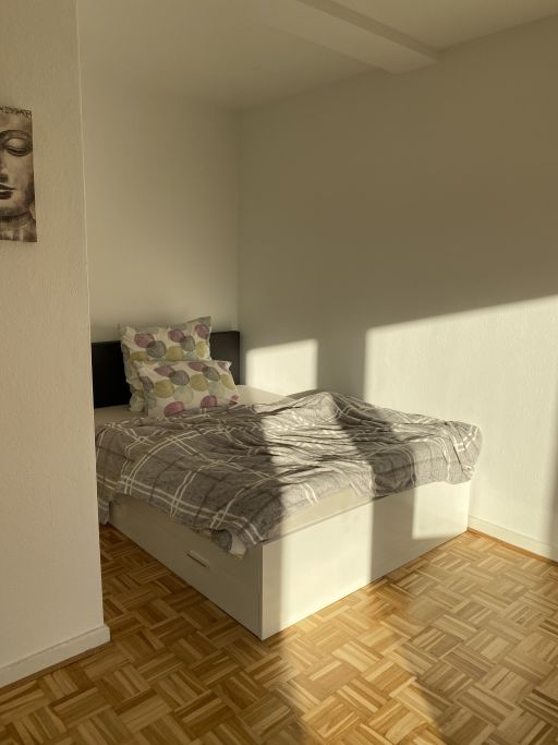 Miete 1 Zimmer Wohnung Kiel | Ganze Wohnung | Kiel | Gemütliches & schickes Apartment | Hominext