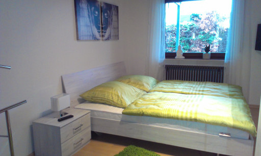 Rent 2 rooms apartment Bietigheim-Bissingen | Entire place | Bietigheim-Bissingen | Exklusive Wohnung in toller Lage | Hominext