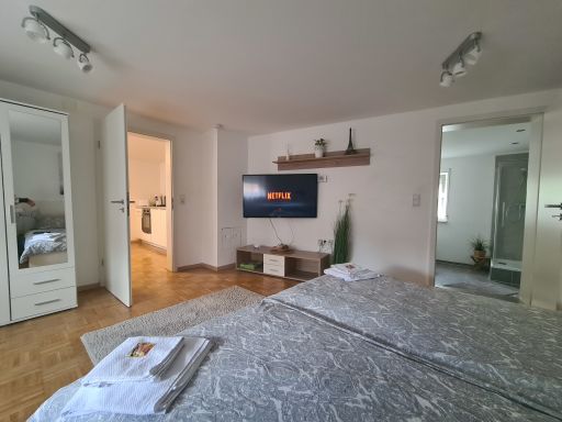 Rent 1 room apartment Kaiserslautern | Entire place | Kaiserslautern | Classic Apartments - Apartment 2 | Hominext