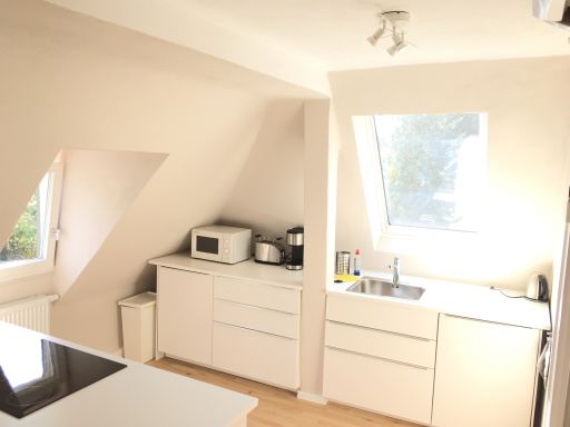 Miete 2 Zimmer Wohnung Nürnberg | Ganze Wohnung | Nürnberg | Großzügiges helles 3-Zimmer-Dach -Apartment | Hominext